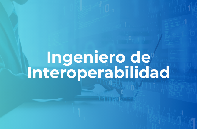 Ingeniero de Interoperabilidad